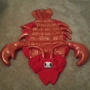 Dog lobster costume